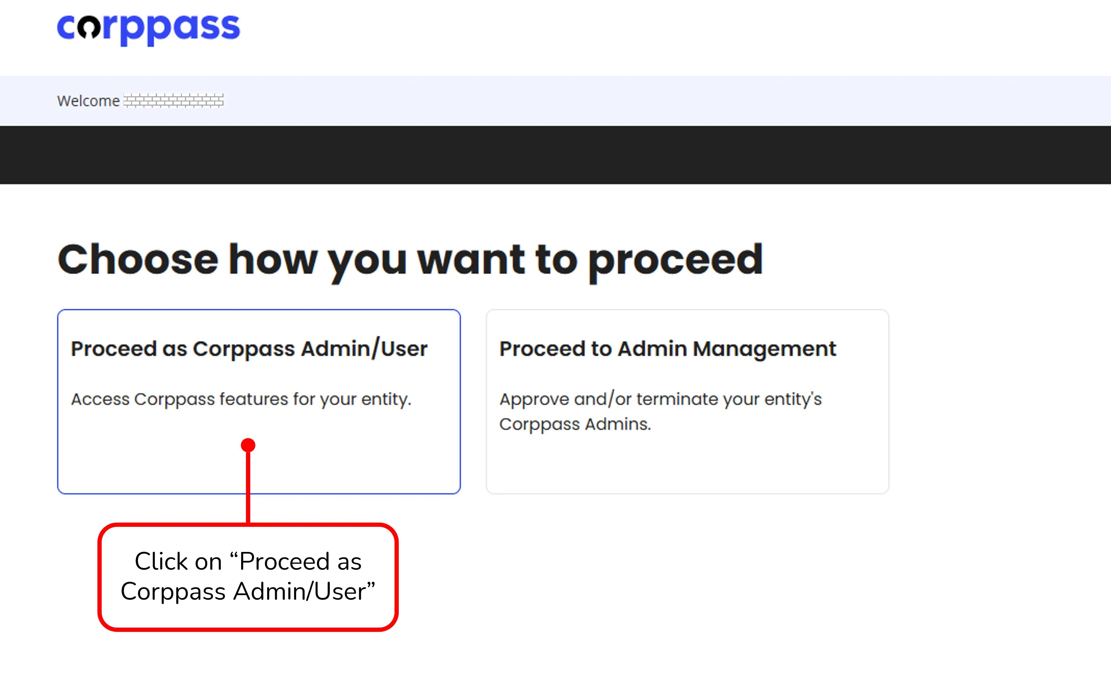 Proceed as Corppass Admin/User selection